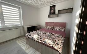 Tei Apartment - Lucian Blaga
